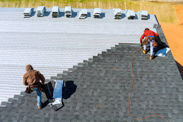 Roof Gutter Cleaning in Eclectic, AL