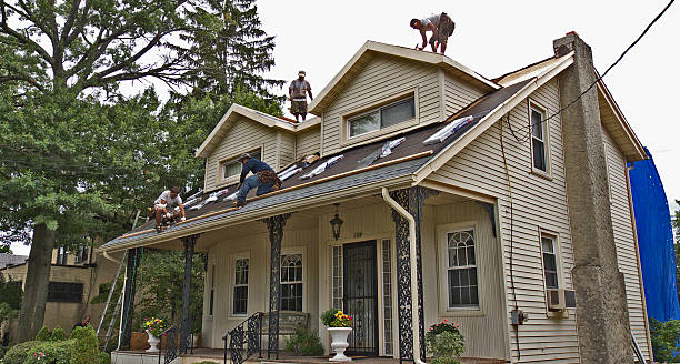 Professional Roofing Contractor in Eclectic, AL