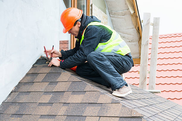 Best Roof Gutter Cleaning  in Eclectic, AL