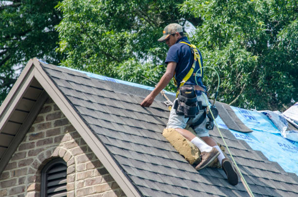 Trusted Eclectic, AL Roofing Contractor Experts
